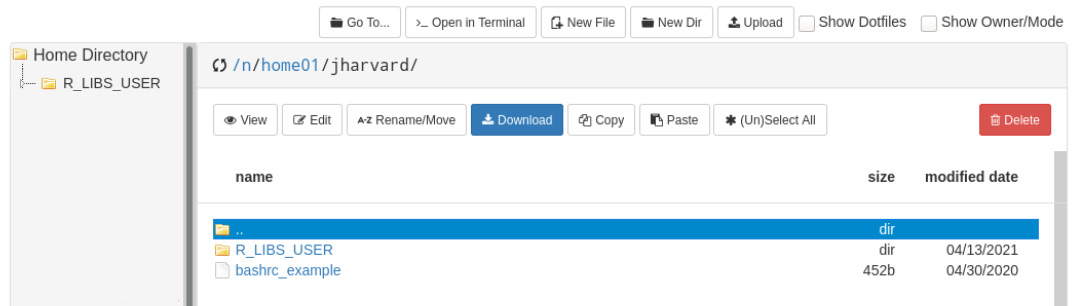 The files browser window